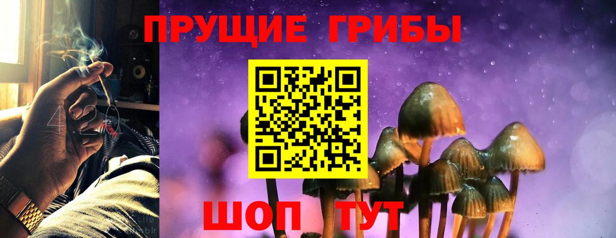 COCAIN Бугуруслан